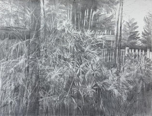 Backyard Habitat