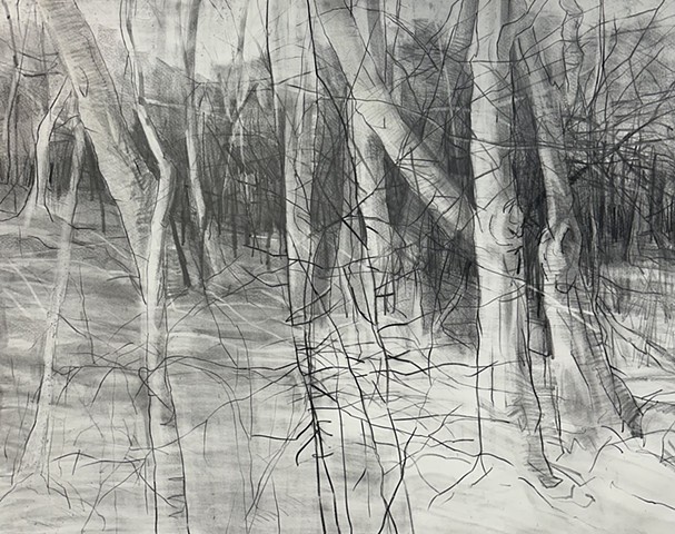 Gray Forest