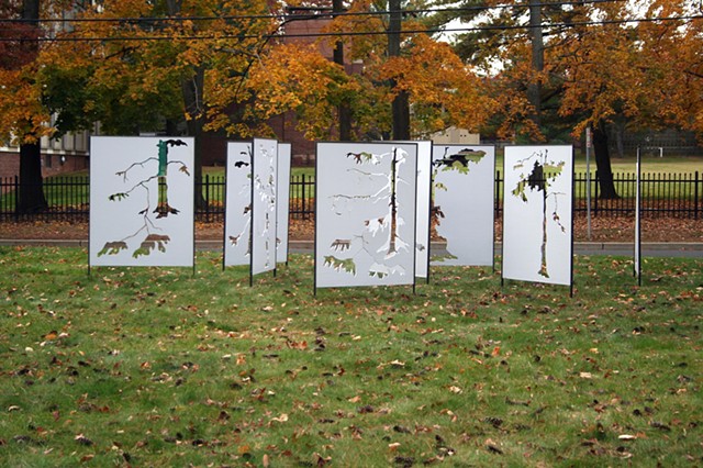 Missing Trees