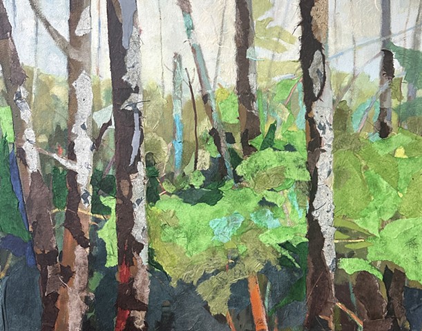Woods