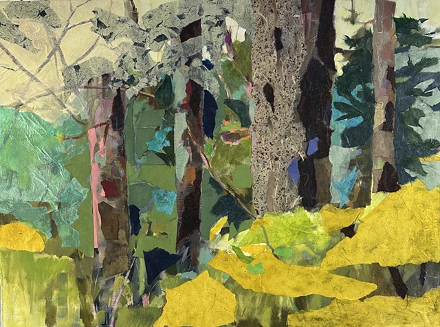 Stately Trees