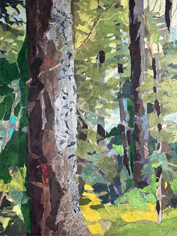 Enter the Woods