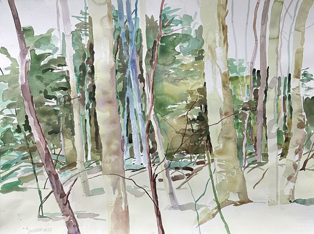 Watercolor Woods