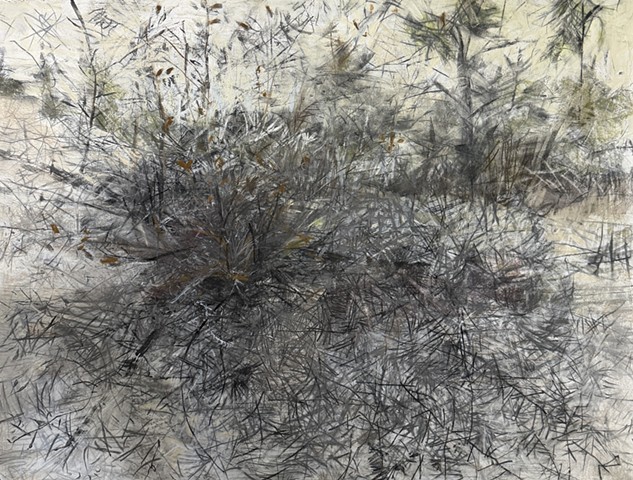 Drawings