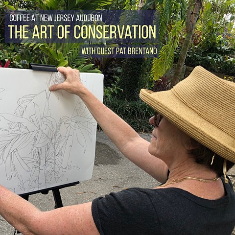 Podcast The Art of Conservation with Pat Brentano