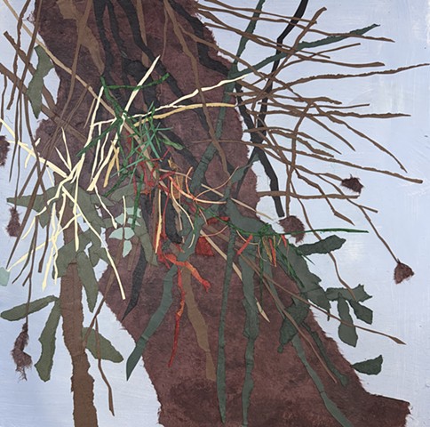 Tree Trunk