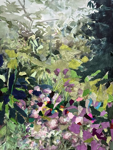 Magenta Flowers
