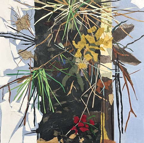 Section of Summer Debris