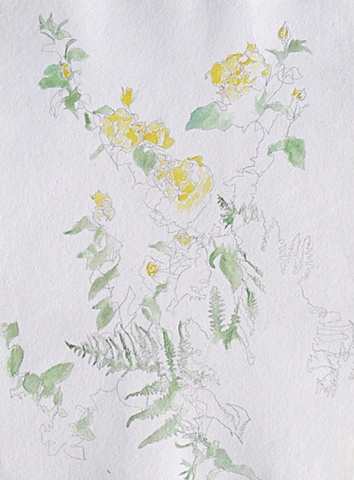 mysterious yellow roses and ferns