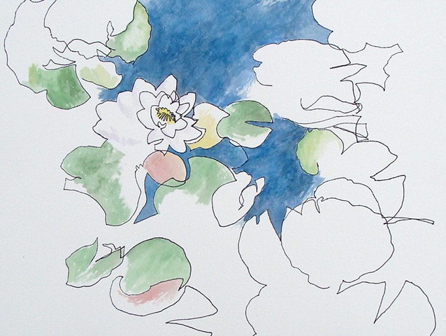 water lilies (II)