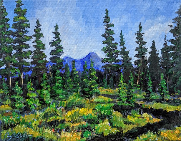 Landscape in the Cascades 