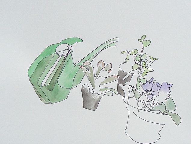 watering can and house plants