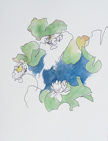 water lilies (III)