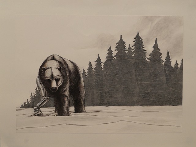 Atlas bear