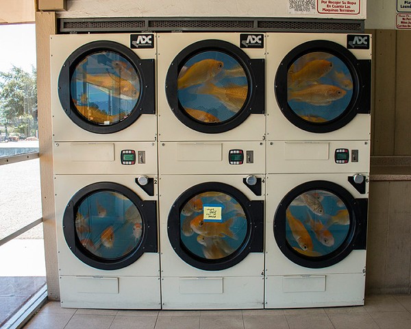 Laundrymat-fish