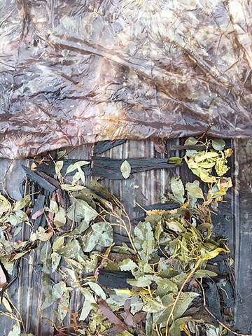 Natural dyeing process