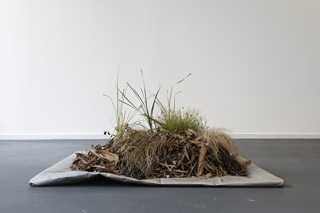 One square metre