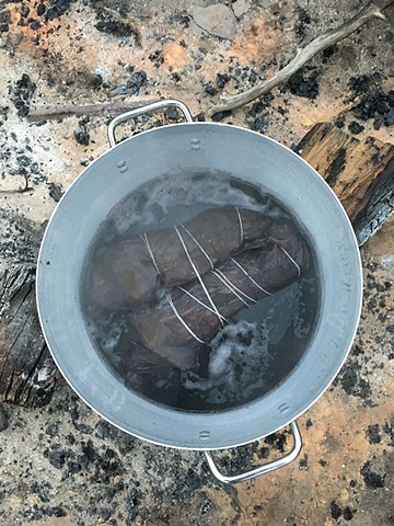 Natural dyeing with native Australian plants