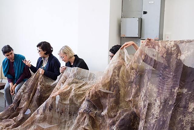 Presentation for the Physics Room Emerging Curators Program