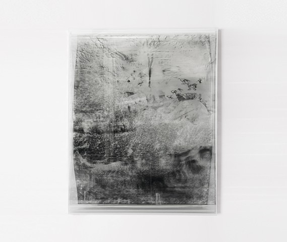 Sporeverse(spore+universe) 2, 2026, 86x67x7cm, Digital print, film, wood panel, and mixed media