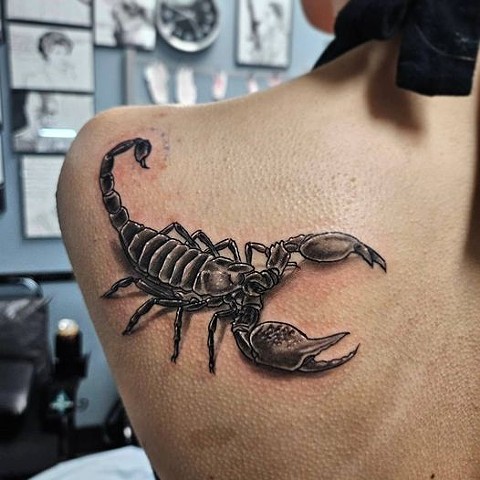 Neo realism scorpion