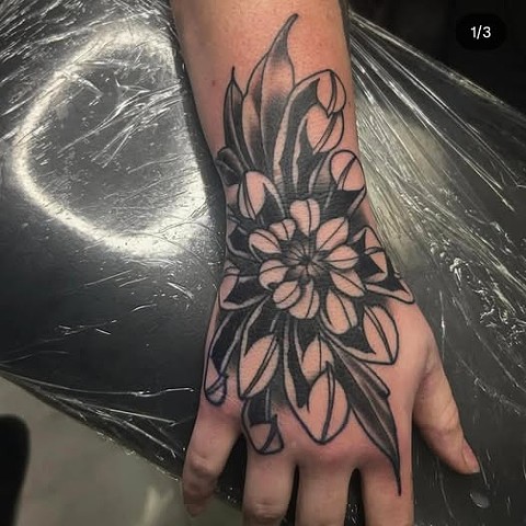 Chrysanthemum