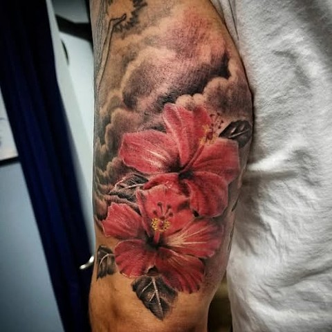 Hibiscus