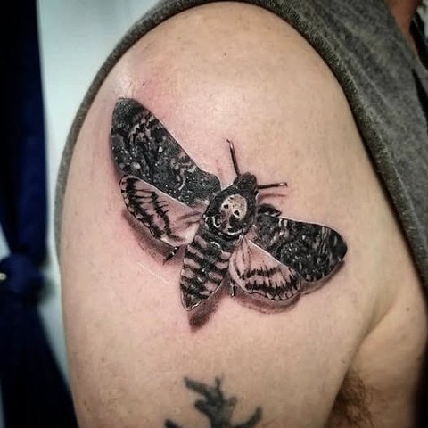 Deathshead Moth