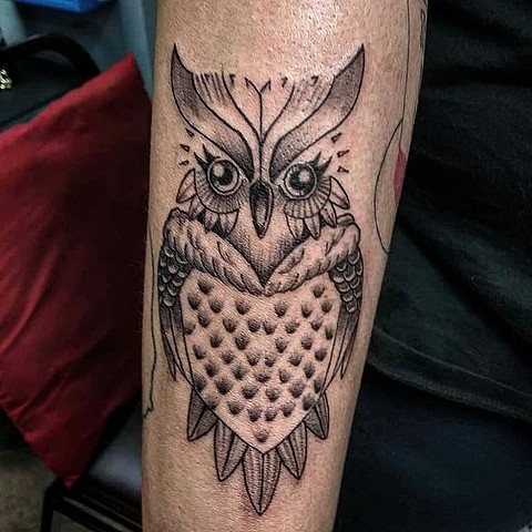 Neotrad Owl