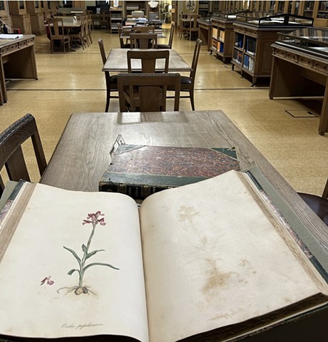 Flora Graeca, Gennadius Library Athens Greece