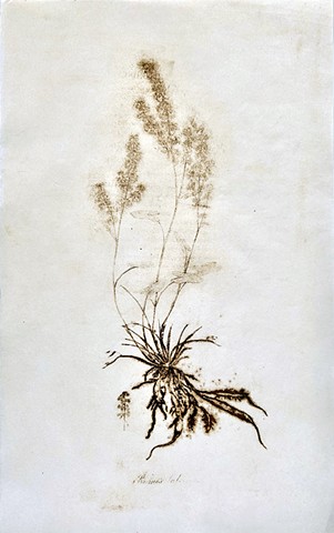 Ghost of Flora Greaca 4