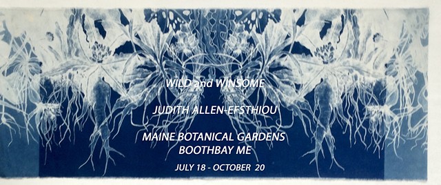  Wild and Winsom Coastal Maine Botanical Gardens 