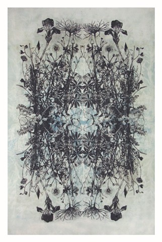 cyanotype and lithograph print