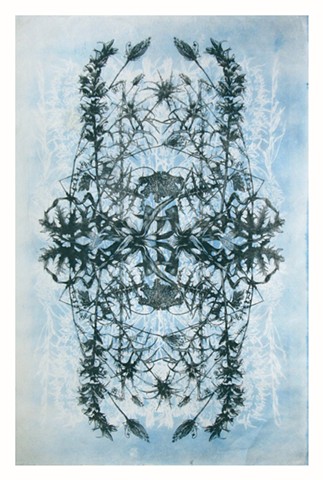 cyanotype, print, lithograph