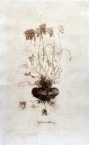 Ghost of Flora Greaca 1