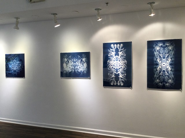 Beth Urdang Gallery Installation