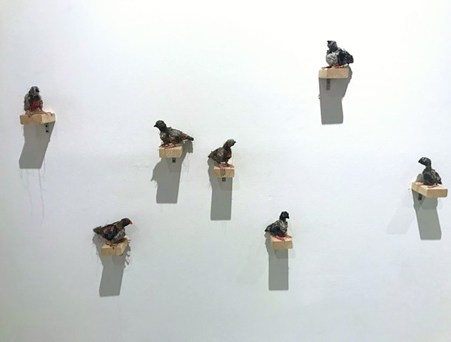 Birds (installation view)