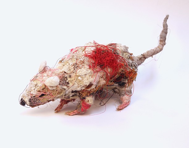 Rat with Wound