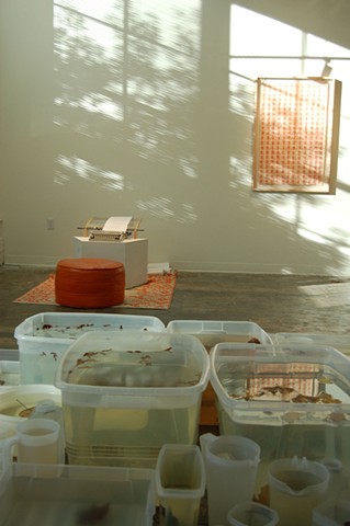 Installation including 252 More Periods, at Most, Typewriter, and Modular Lake, Autumn (Art Academy of Cincinnati)