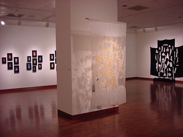 Installation view: Band-aid Mandala; Retired Combs (from the Weintraub Collection); 40 Waterfalls for Them; Weston Art Gallery