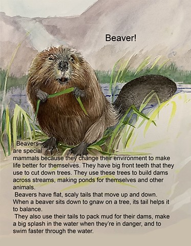 Beaver