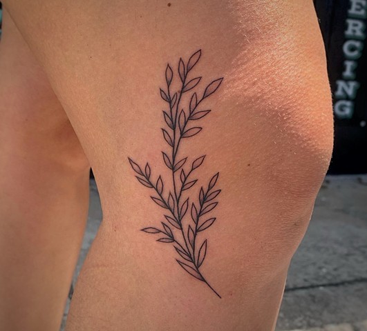 Rosemary tattoo on the back - Tattoogrid.net