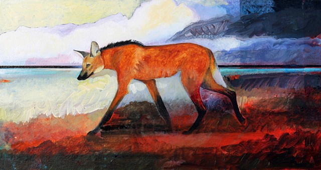 South American Maned Wolf