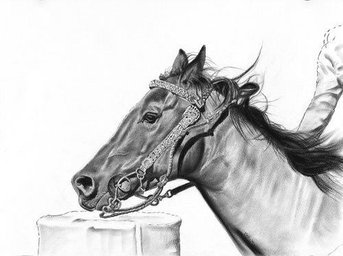 Barrel Racer Charcoal on paper, 24 x 18 inches.