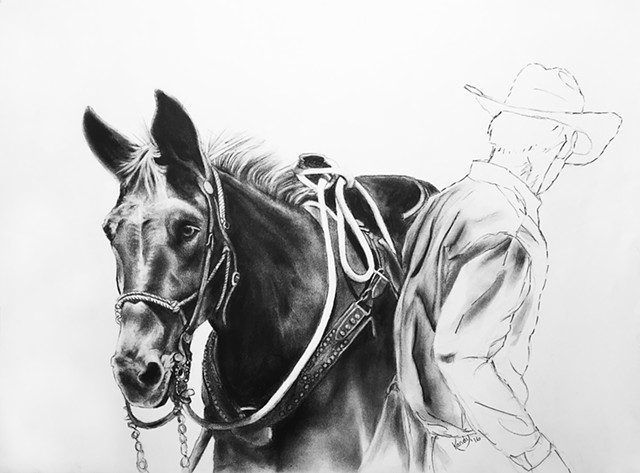 Charcoal drawing of horse and cowboy by Kandy Stern.