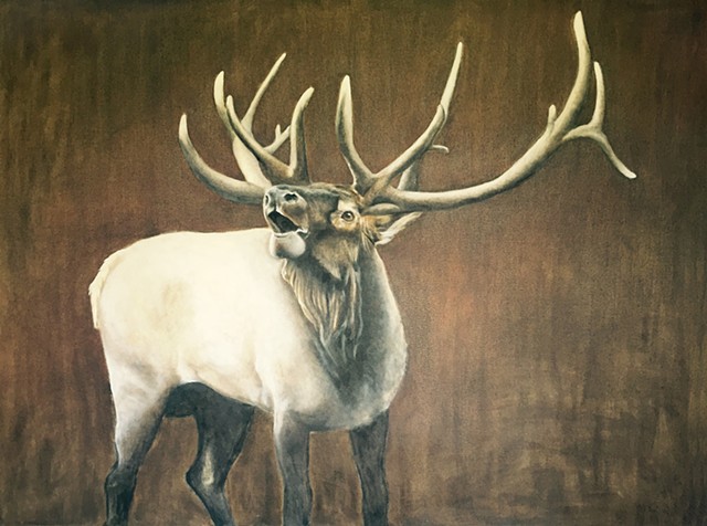 Painting of elk by Kandy Stern.