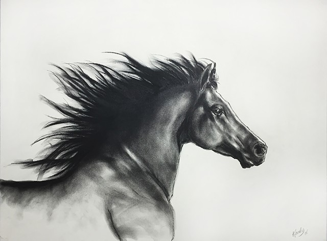 Horse Series #1