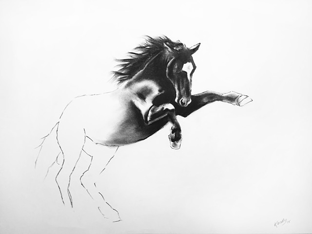Charcoal drawing of rearing horse by Kandy Stern.