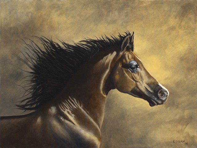 Unbridled Freedom, Oil on Linen, 24 x 18 inches.
