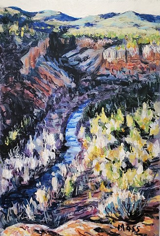 Study for Carrizo Creek Canyon 2022